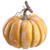 Pumpkin,  Orange