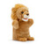 Lion Puppet