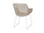 Chatham Dining Arm Chair in White-Shell