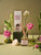 The Smell of Spring - Reed Diffuser Set