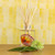 Sugared Citrus - Accent Diffuser