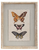 Wood Framed Wall Decor with Butterflies & Striped Mat