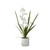 Real Touch White Orchid in Pot, 21.75"