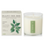 Crushed Mint Plant The Box Candle