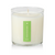Fresh Picked Basil Plant The Box Candle