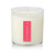 Ripe Watermelon - Plant The Box Candle