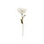 Flower Pick, Cream