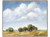 Grassland