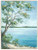 Lakeside Shoreline