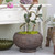 Paulownia Wood Planter, Stained Natural - Large