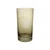 Drinking Glass with Etched Botanicals