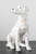 Hand-Painted Vintage Reproduction Staffordshire