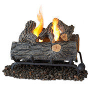 Real Flame 18" Convert-to-Gel Log Set in Oak