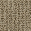 Mohawk Everstrand Chic Comfort 3C49 Residential Carpet