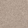 Dixie Home Delight 5453 Residential Carpet