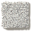 Shaw Colorwall Find Your Comfort II Accent EA821 Residential Carpet