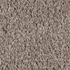 Mohawk Smartstrand Authentic Escape 2G51 Residential Carpet