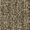 Mohawk Everstrand Casual Character 3C52 Residential Carpet