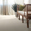 Anderson Tuftex Reverie Mera ZZ086 Residential Carpet Room Scene