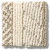 Anderson Tuftex Unleashed Speak ZZ085 Residential Carpet