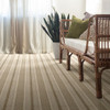 Anderson Tuftex Unleashed Speak ZZ085 Residential Carpet Room Scene