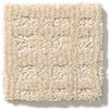 Anderson Tuftex Pet Perfect Purrsuasion ZZ082 Residential Carpet