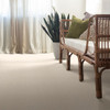 Anderson Tuftex Unleashed Pawstruck ZZ081 Residential Carpet Room Scene