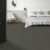 Anderson Tuftex Capistrano ZZ266 Residential Carpet Room Scene