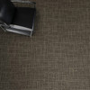 Masland Current 9609 Nylon Residential Carpet Room Scene