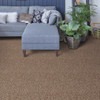 Dreamweaver West Brow 6035 Residential Carpet Room Scene