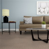 Dreamweaver Toast of the Town 5315 Residential Carpet Room Scene