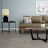 Dreamweaver Confetti II 3148 Residential Carpet Room Scene