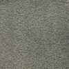 Masland Ravishing 9625 Residential Carpet