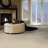 Masland Shangri-La Too 9564 StainMaster Residential Carpet Room Scene
