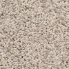 Masland Shangri-La Too 9564 StainMaster Residential Carpet