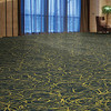 Masland Voltage 9604 Nylon Residential Carpet Room Scene