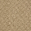 Shaw Philadelphia Snapshot Gather 54740 Commercial Carpet