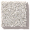 Shaw Simply the Best Make It Mine II 5E256 Residential Carpet
