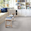 Stanton Crossroads Axis Wool Blend Residential Carpet Room Scene