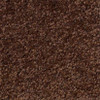 Shaw Timeless Appeal III 12' Q4314 Residential Carpet Design
