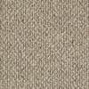 Shaw Philadelphia Natural Path 54636 Indoor Outdoor Turf Carpet