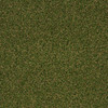 Shaw Philadelphia Launch 54743 Indoor Outdoor Turf Carpet