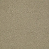 Shaw Philadelphia Snapshot Nest 54719 Commercial Carpet