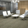 Shaw Philadelphia Embrace Reveal 54758 Commercial Carpet Room Scenes