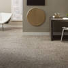 Shaw Philadelphia Duo Carbon Copy 54806 Commercial Carpet Room Scene