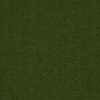 Shaw Philadelphia Adrenaline 5MM 00300 Green 54712 Indoor Outdoor Artificial Turf Carpet