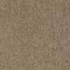 Shaw Philadelphia New Trade 54795 Commercial Carpet