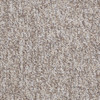 Shaw Philadelphia Sound Advice BL 54288 Commercial Carpet