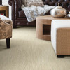 Stanton Pacific Provence Epoch Wool Blend Residential Carpet Room Scene
