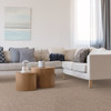 Tarkett Grant Park R1156 Residential Carpet Room Scene